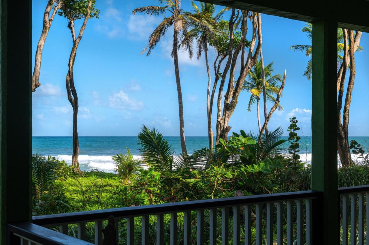 Rosalie Bay Eco Resort & Spa Eksteriør billede